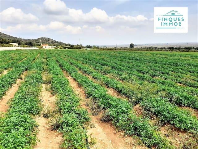 Casa Rural en venta en Amposta, Tarragona