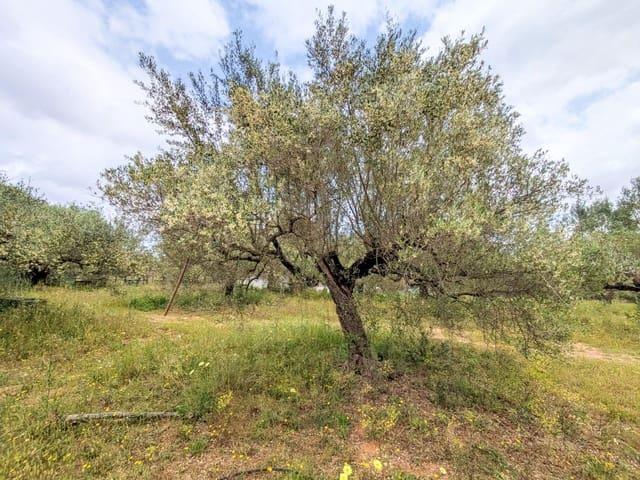 Casa Rural en venta en Montsià, Catalunya
