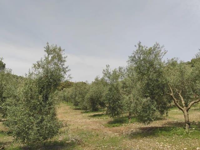 Casa Rural en venta en Nororma, Andalucía