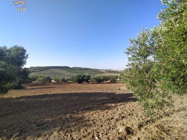 Casa Rural en venta en Sierra de Cádiz, Andalucía