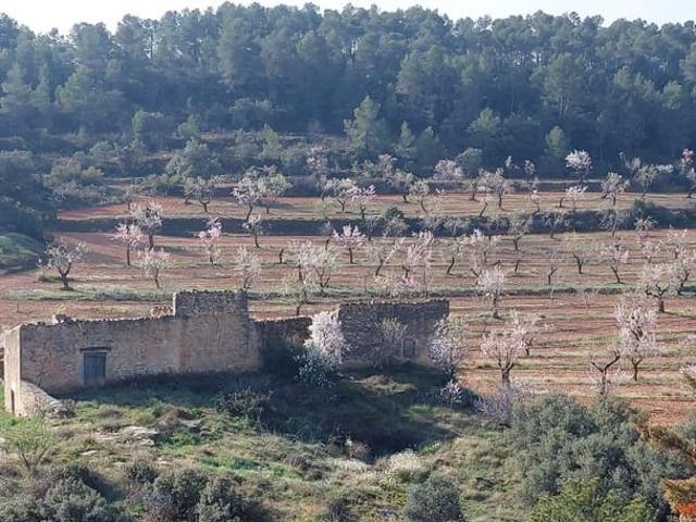 Casa Rural en venta en Arens De Lledó