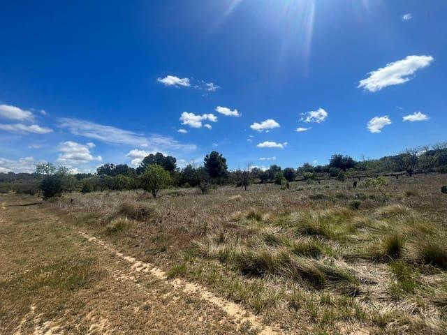 Casa Rural en venta en Matarraña / Matarranya, Arens De Lledó