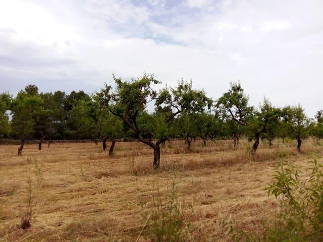 Casa Rural en venta en Matarraña / Matarranya, Arens De Lledó