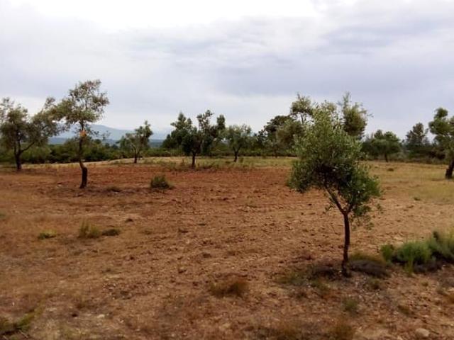 Casa Rural en venta en Matarraña / Matarranya, Arens De Lledó