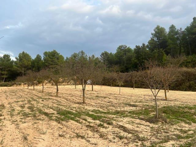 Casa Rural en venta en Matarraña / Matarranya, Arens De Lledó