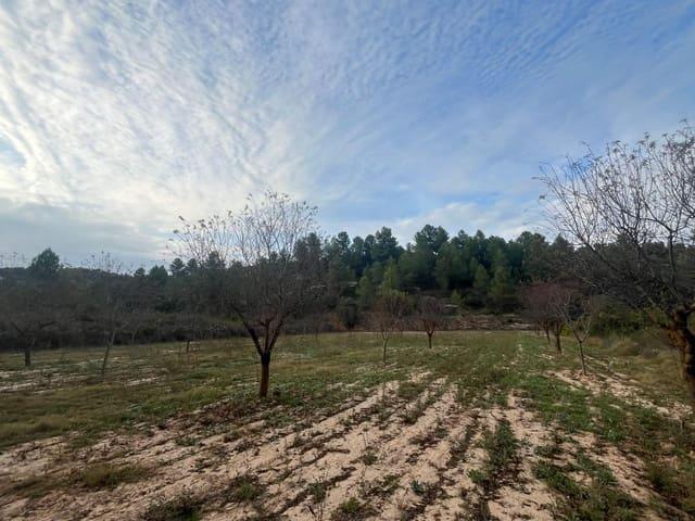 Casa Rural en venta en Matarraña / Matarranya, Arens De Lledó