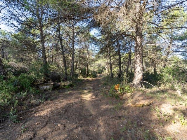 Casa Rural en venta en Arens De Lledó