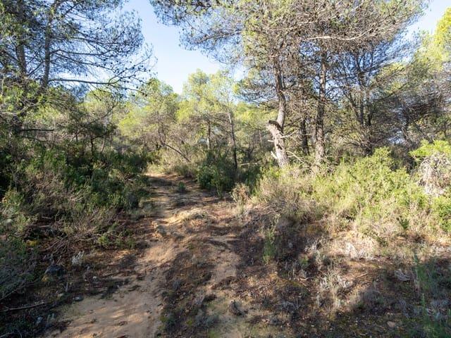 Casa Rural en venta en Matarraña / Matarranya, Arens De Lledó