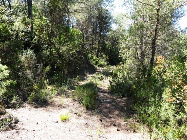 Casa Rural en venta en Matarraña / Matarranya, Arens De Lledó
