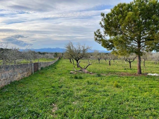 Terreno en venta en Ariany