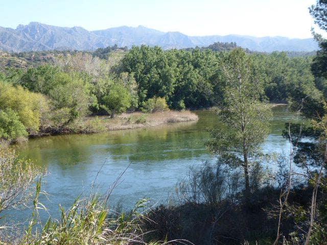 Casa Rural en venta en Ascó