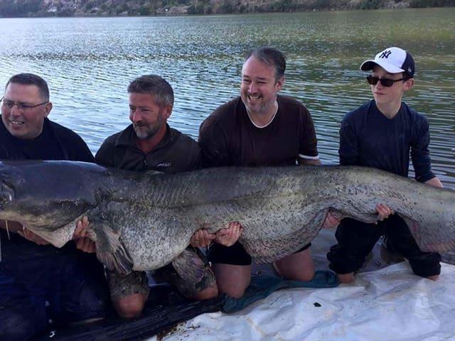 Casa Rural en venta en Ascó, Tarragona