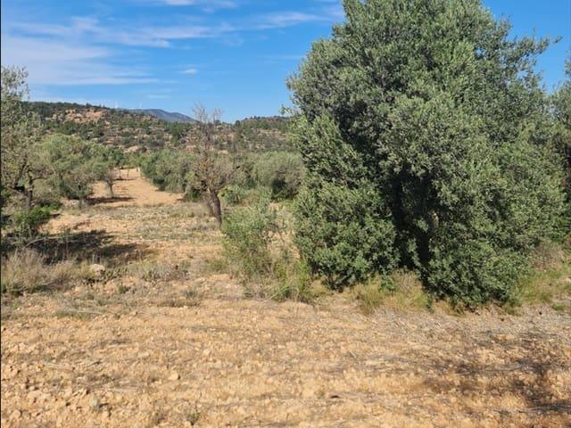 Casa Rural en venta en Ascó