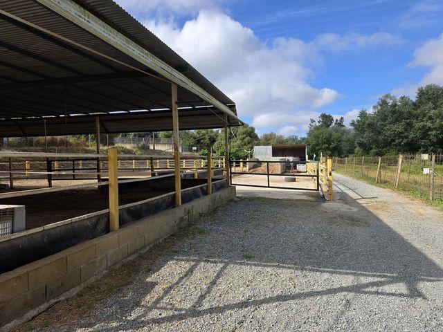 Casa Rural en venta en Aznalcázar, Andalucía