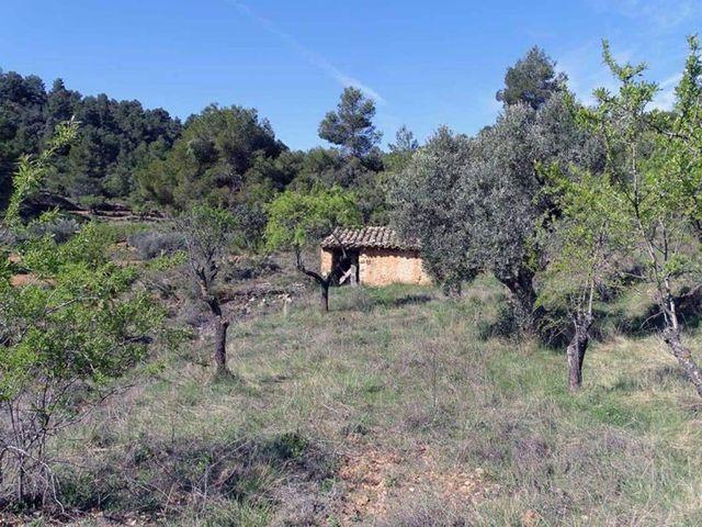 Casa Rural en venta en la Botera, Matarraña / Matarranya