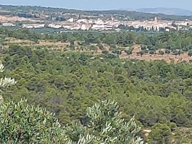 Casa Rural en venta en Bajo Aragón, Aragón