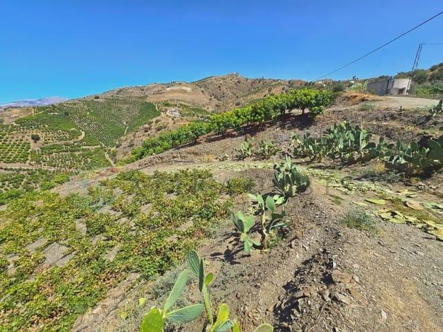 Casa Rural en venta en Benamargosa