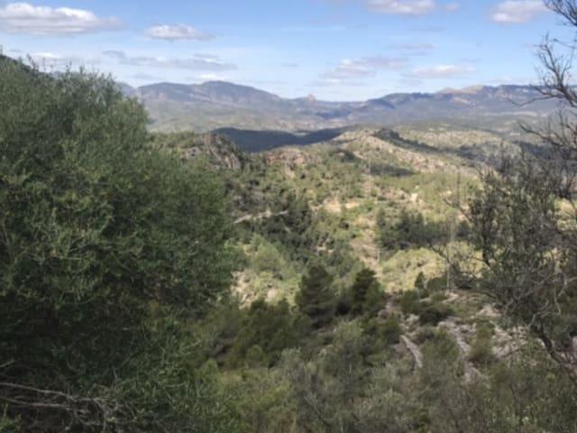 Casa Rural en venta en Baix Ebre, Catalunya