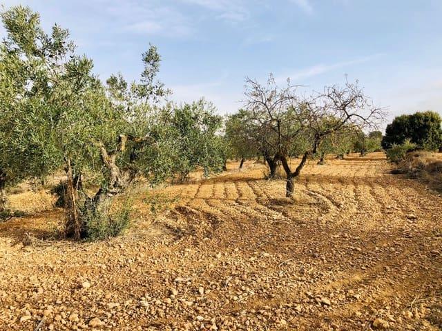 Casa Rural en venta en l'Alt Vinalopó / El Alto Vinalopó, Valencia