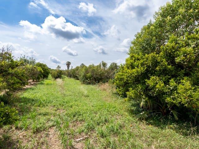 Casa Rural en venta en Bítem, Baix Ebre