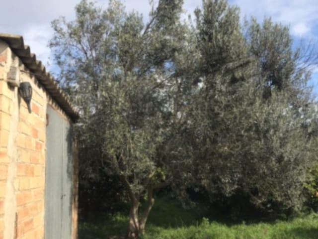 Casa Rural en venta en Bítem, Baix Ebre