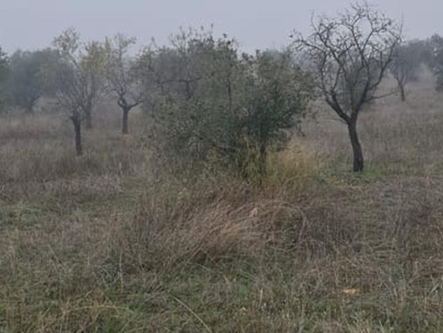 Casa Rural en venta en Garrigues, Catalunya