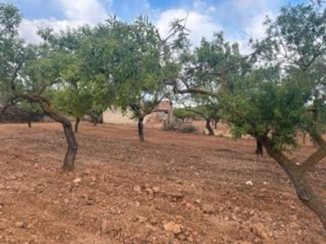 Casa Rural en venta en la Plana Alta, Valencia
