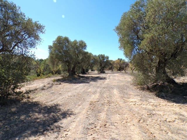 Casa Rural en venta en Matarraña / Matarranya, Calaceite