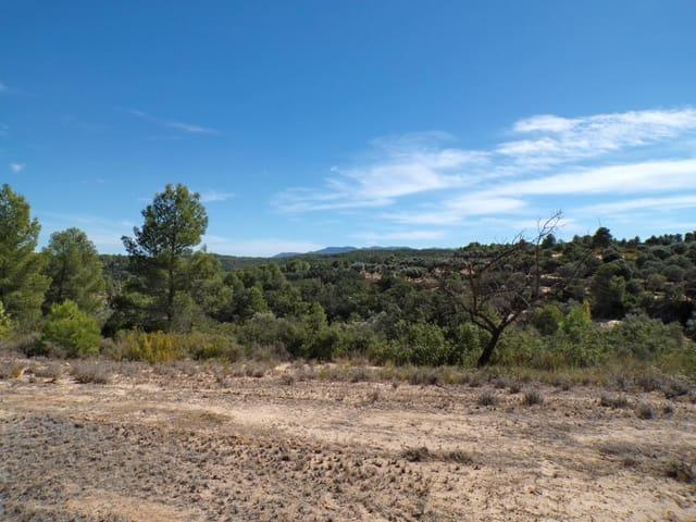 Casa Rural en venta en Matarraña / Matarranya, Calaceite