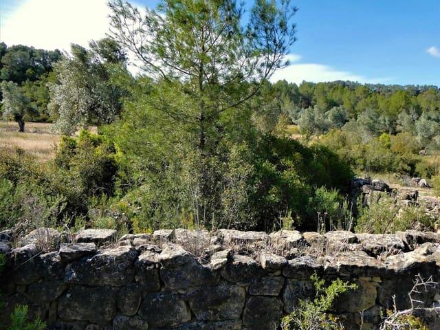 Casa Rural en venta en Matarraña / Matarranya, Calaceite