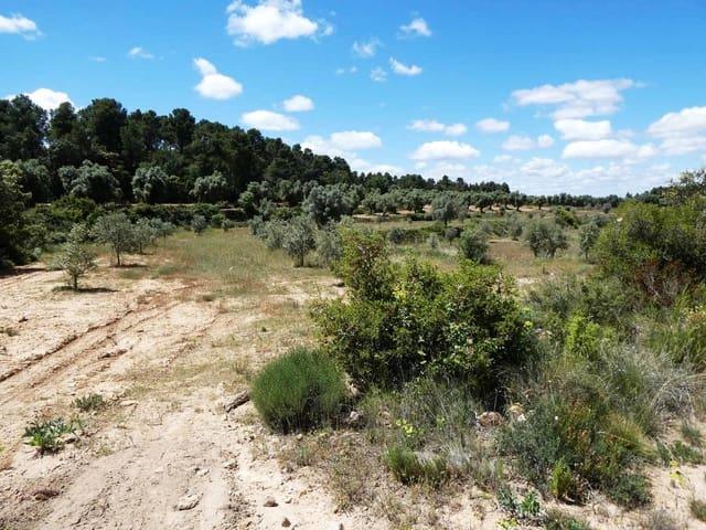 Casa Rural en venta en Matarraña / Matarranya, Calaceite