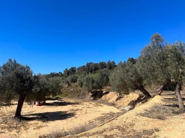 Casa Rural en venta en Matarraña / Matarranya, Calaceite