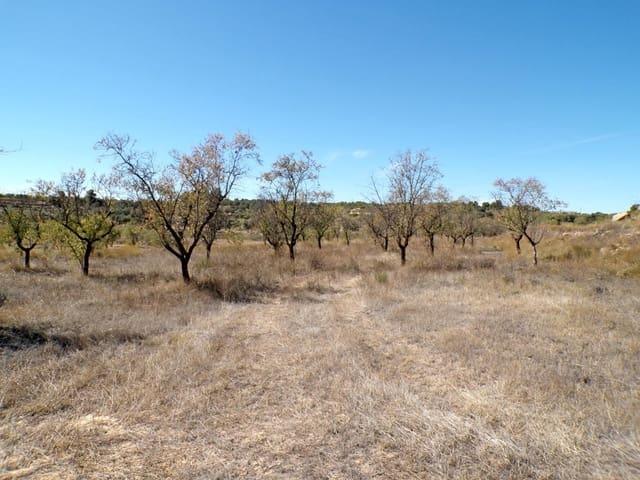 Casa Rural en venta en Matarraña / Matarranya, Calaceite