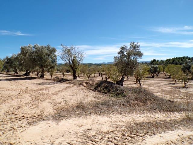 Casa Rural en venta en Matarraña / Matarranya, Calaceite