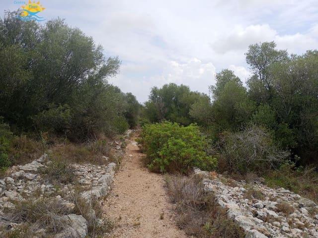Casa Rural en venta en Càlig