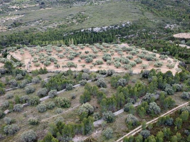Casa Rural en venta en el Baix Maestrat, Valencia