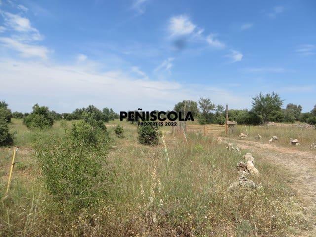 Casa Rural en venta en el Baix Maestrat, Valencia