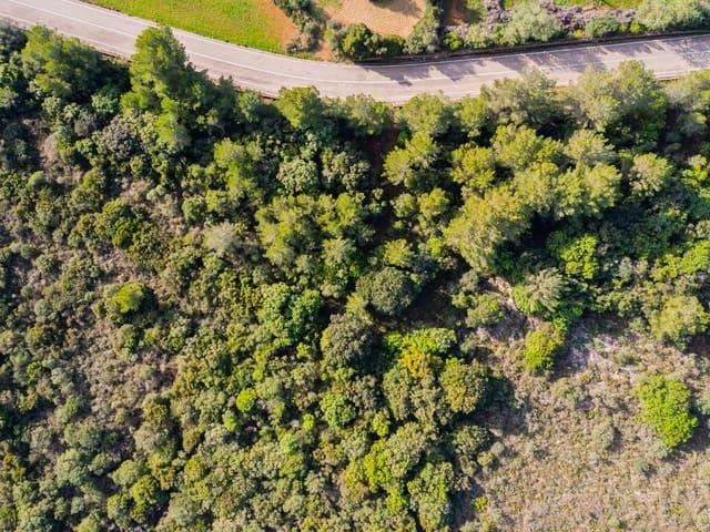 Casa Rural en venta en Canyamel, Llevant
