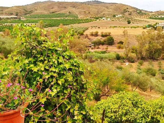 Casa Rural en venta en Casarabonela, Málaga
