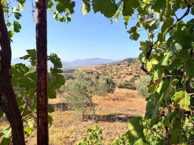 Casa Rural en venta en Sierra de las Nieves, Andalucía