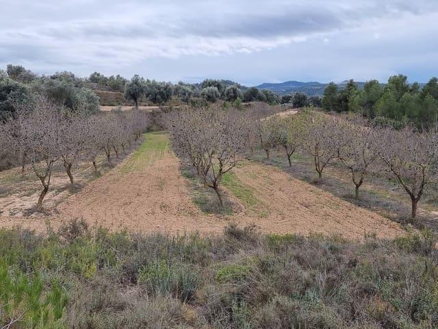 Casa Rural en venta en Terra Alta, Catalunya