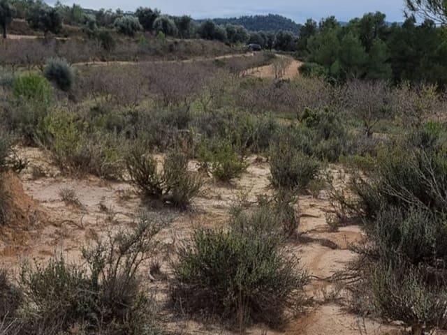 Casa Rural en venta en Terra Alta, Catalunya