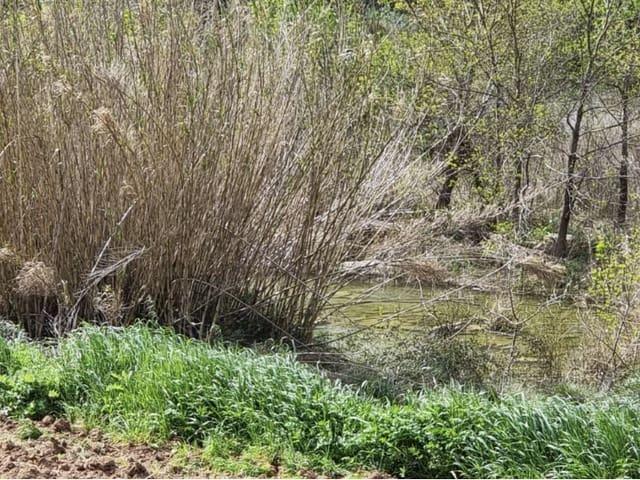 Casa Rural en venta en Terra Alta, Catalunya