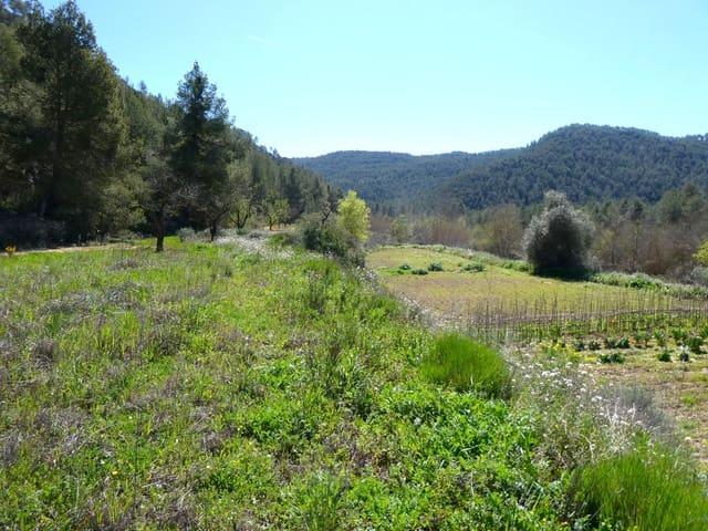 Casa Rural en venta en Caseres