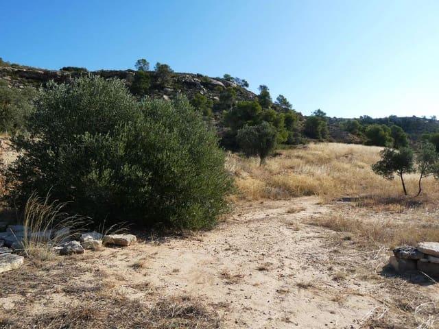 Casa Rural en venta en Bajo Aragón-Caspe / Baix Aragó-Casp, Aragón