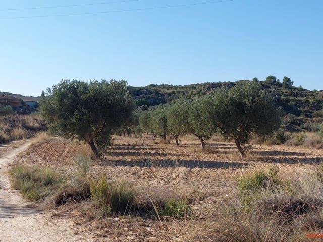 Casa Rural en venta en Bajo Aragón-Caspe / Baix Aragó-Casp, Aragón