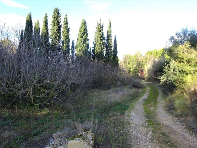 Casa Rural en venta en Bajo Aragón-Caspe / Baix Aragó-Casp, Aragón