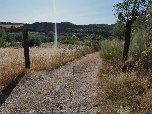 Casa Rural en venta en Bajo Aragón-Caspe / Baix Aragó-Casp, Aragón