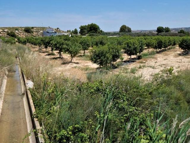Casa Rural en venta en Bajo Aragón-Caspe / Baix Aragó-Casp, Aragón