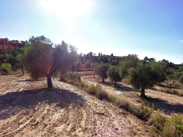 Casa Rural en venta en Bajo Aragón-Caspe / Baix Aragó-Casp, Aragón